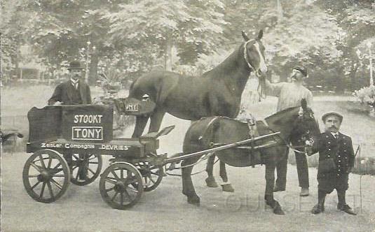 Bedrijven in Zeist0016, Zeister Compangie De Vries. 1933.jpg - Een typisch voorbeeld van reclame voor steenkolen en antraciet in begin van 1900. Het bedrijf Zeister Compagnie “de Vries” (Tony) vestigde rond 1909 in Zeist en werd gerund door de broers Klaas en Anton de Vries. In 1909 gevestigd aan de Steinlaan 56 en ook op de  Slotlaan 65. Ze hadden hun kantoor in 1910 aan de Nieuwegracht 62a en Steenweg 19 in Utrecht tel: 2015, in Amsterdam was ook een kantoor aan de Singel 143. Tel: 10300 en in 1911 ook één in Haarlem een Steenkoolhandel aan de Nieuwegracht 18. Tel: 430. Helaas ging het bedrijf Failliet op 4 mei 1912.